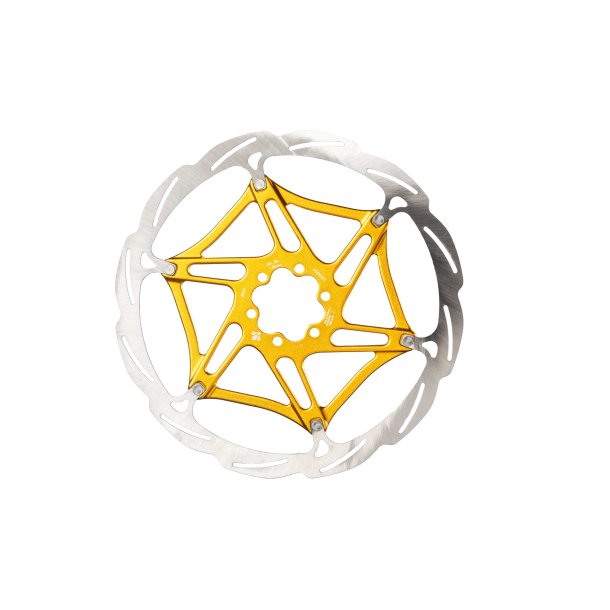 Formula 203mm 6H 2 Pieces disc with gold internal