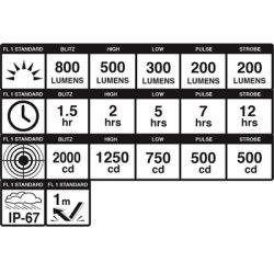 BLACKBURN FORLYGTE DAYBLAZER 800