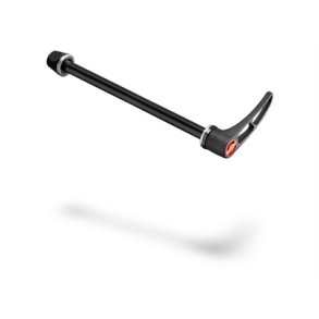 DT SWISS Thru Axle with bolt Rear 10 mm