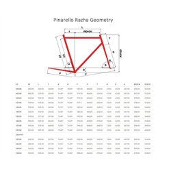 pinarello razha size chart